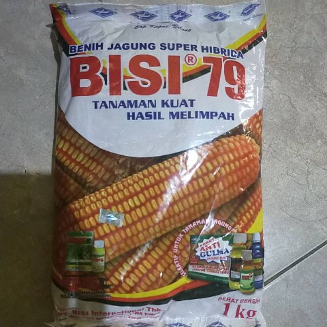 Jagung Hibrida Bisi 79