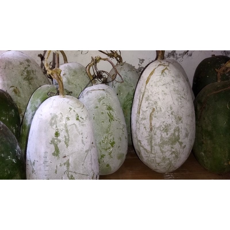 

buah bligo/kundur/gundur/blonceng/wintermelon (ukuran besar)