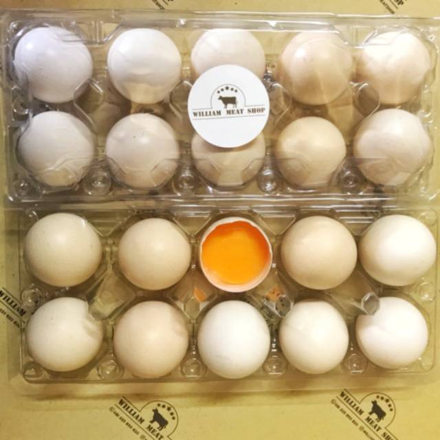 

TELUR AYAM KAMPUNG OMEGA3