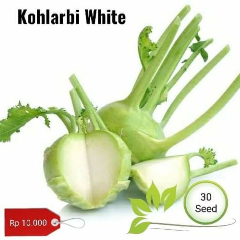 kohlrabi white 20 seed ( benih biji tanaman sayur kohlrabi)