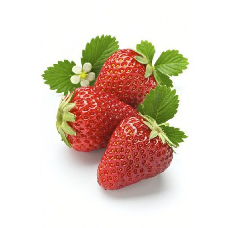 benih strawberry.