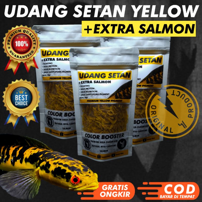 UDANG KERING SETAN YELLOW PAKAN IKAN CHANNA