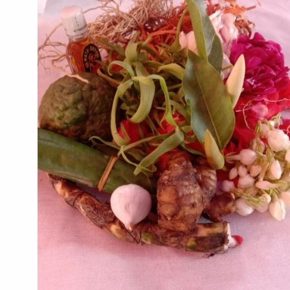 kembang macan kerah komplit