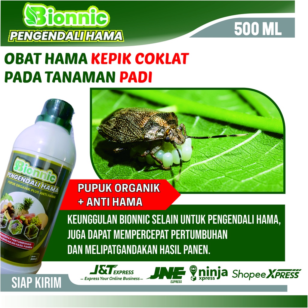 Obat Pengusir Hama Kepik Coklat Pada Padi - BIONNIC Racun Hama Tikus dan Hama Kepik Paling Ampuh - O