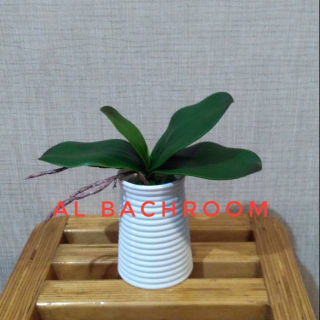 DAUN ANGGREK LATEX BESAR IMITASI BUATAN L9/ DA9 B8015 DAUN ARTIFICIAL