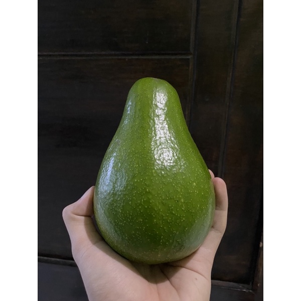

ALPUKAT MENTEGA SUPER PREMIUM