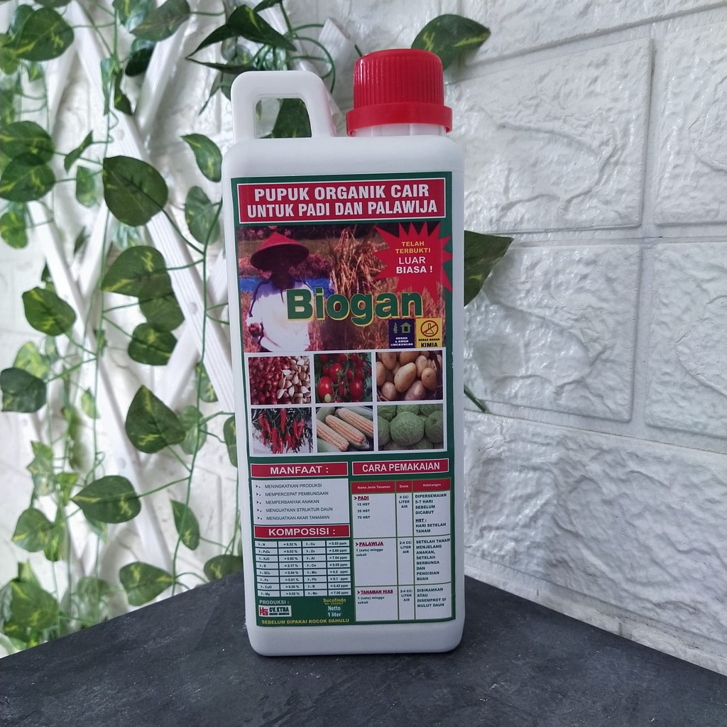PUPUK ORGANIK CAIR (POC) BIOGAN UNTUK SAYURAN & PALAWIJA