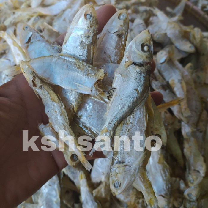 

Q12Sa Ikan Asin Sampah Rebus Khas Medan-500Gram D51qs448