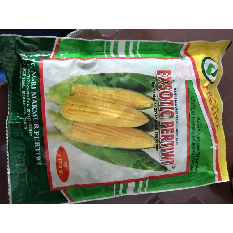 Jagung manis Exsotic Pertiwi