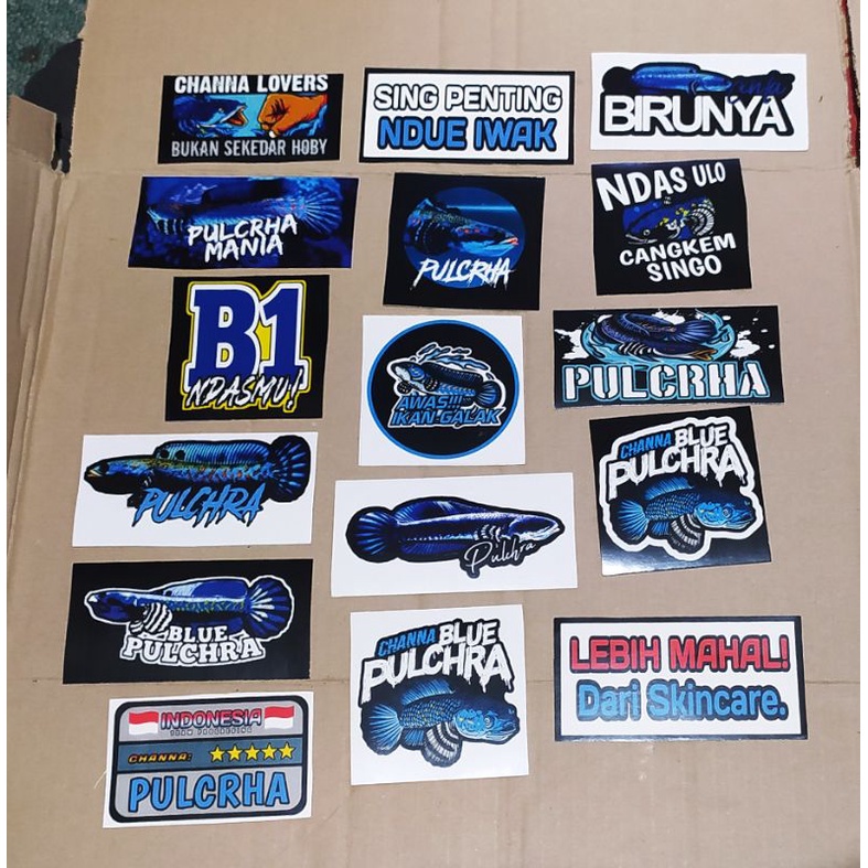 

6pcs stiker PULCRHA BLUE mantab!!!