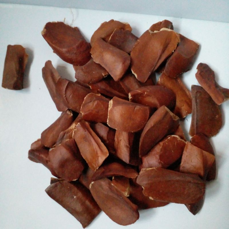 

biji mahoni / mauni / mahuni kering obat herbal / obat kencing manis deabetes