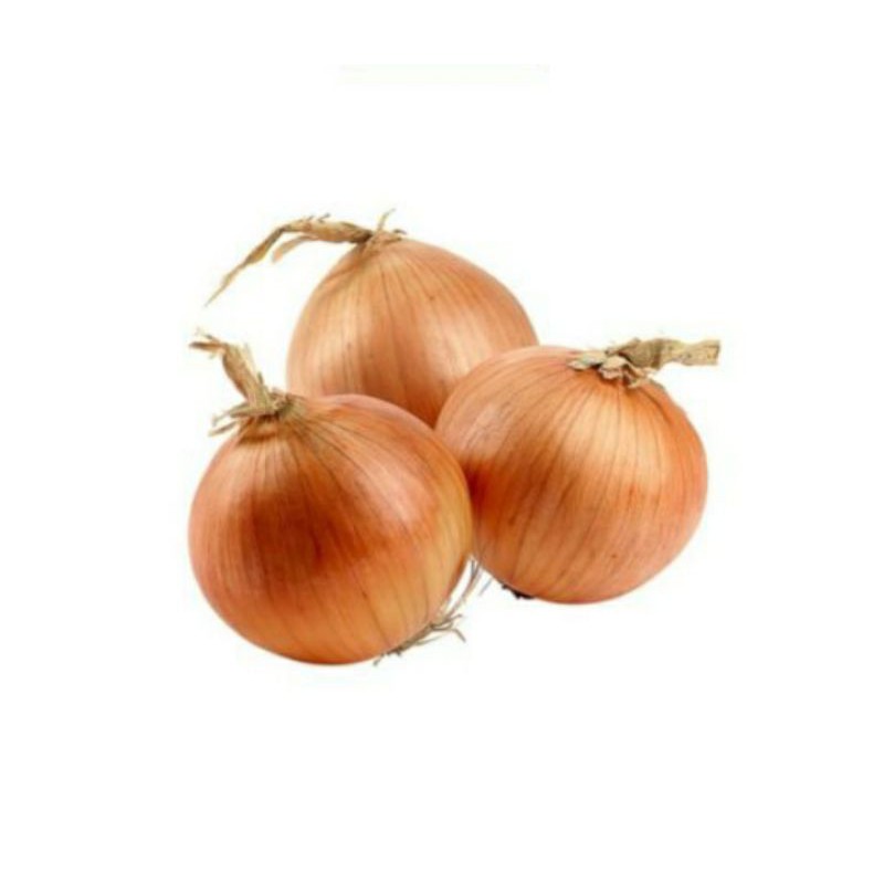 

bumbu dapur/sayuran/bawang Bombay500gram