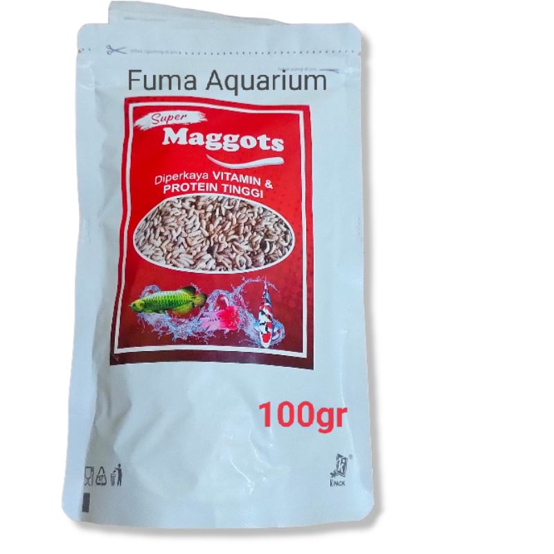 SUPER MAGGOTS PREMIUM MAGGOT BSF Grade A Kering 100gr Pakan Channa Arwana Koi dll