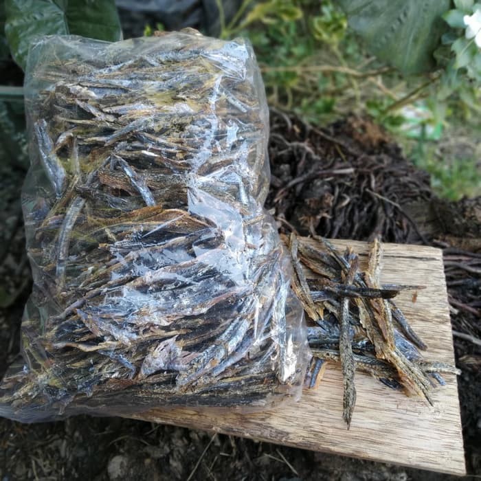 

IKAN ROA ASAP kupas badan tampa tulang dan kepala