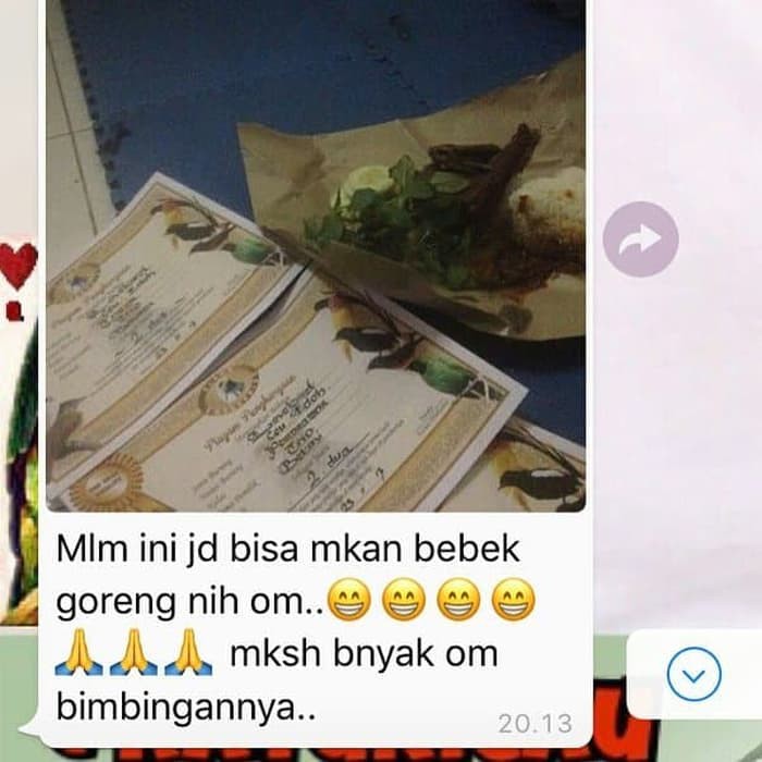 KING KONSLET Vitamin Ramuan Herbal Khusus Love Bird Siap Lomba 350gram-4