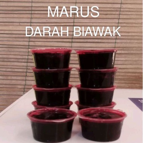 Marus Darah Biawak Umpan Galatama Lele