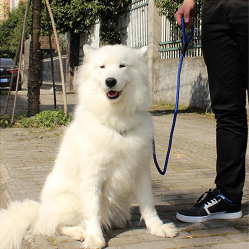 TALI TUNTUN PELATIH ... BIG Diameter Tali 1 Cm ..... CESAR MILAN