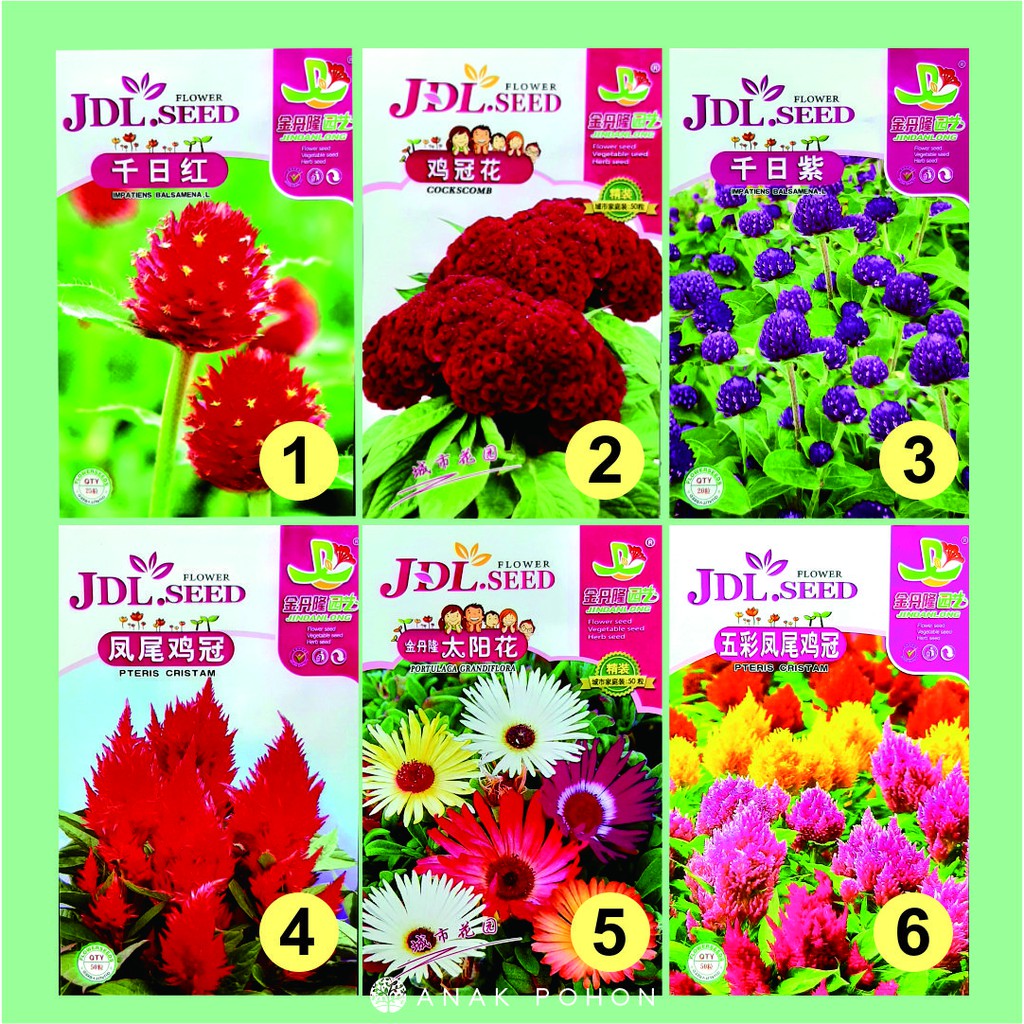 Benih Aneka Bunga Flower JDL Seed Retail Pack - Tipe A