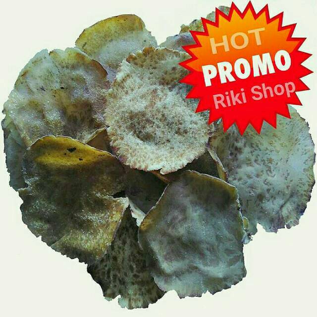 

PROMO 1KG KERUPUK JENGKOL