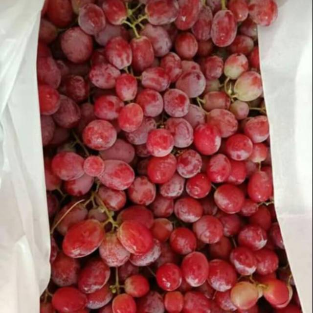 

ANGGUR RED GLOBE CHINA 1KG-500 GRAM
