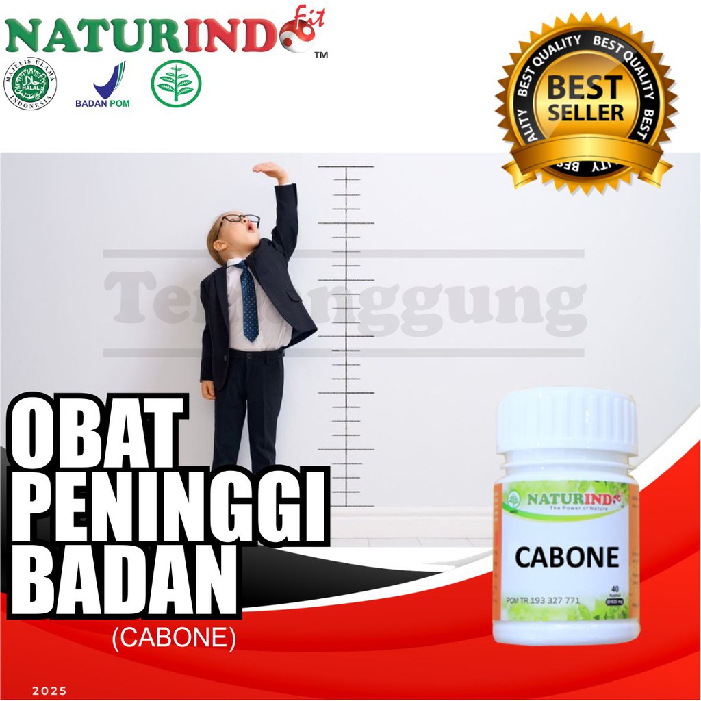 Obat Herbal Osteoporosis Pengroposan Prngapuran Tulang Kuat Herbal