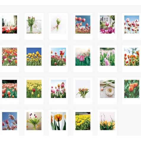 Label Stickers - Tulip (46pcs)