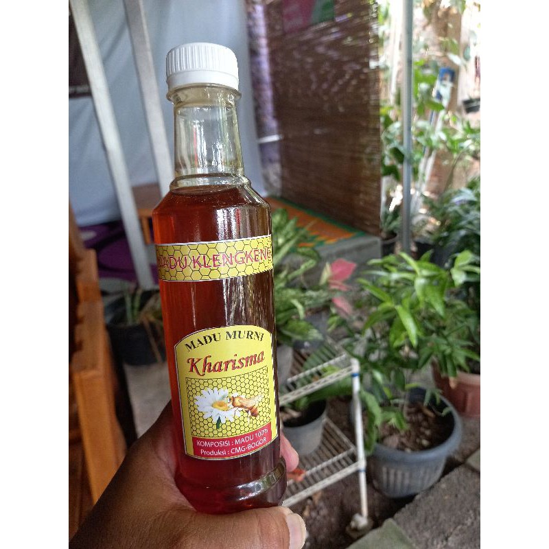 Madu klengkeng kharisma 500 gr madu alami dan murni dari bogor