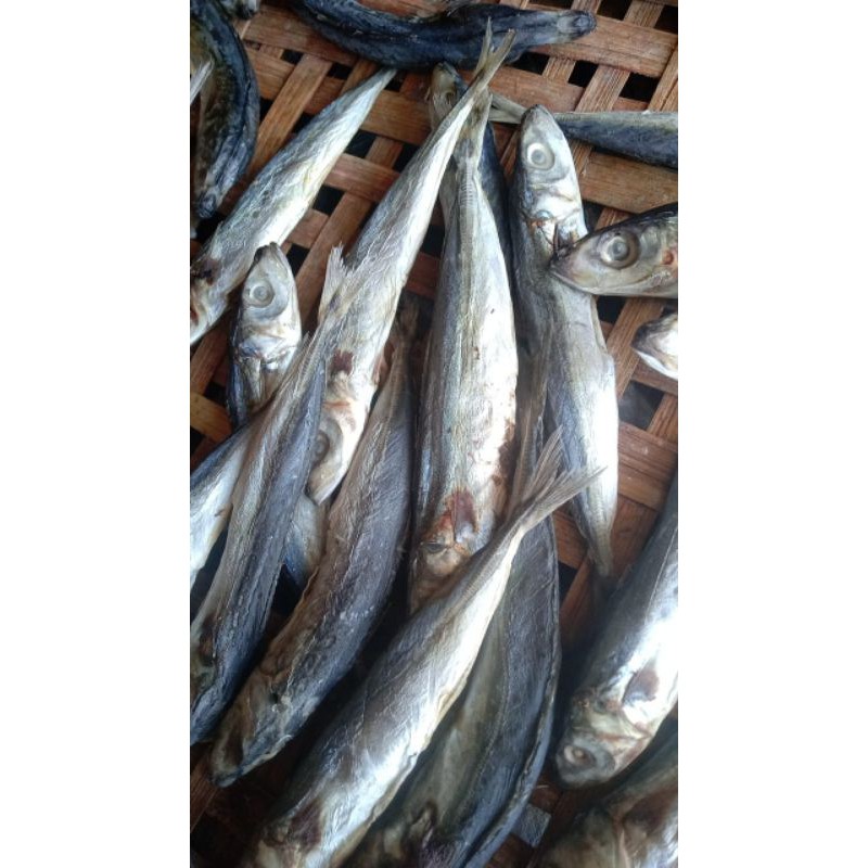 

ikan asin rencek
