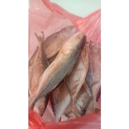 

ikan gembung asin