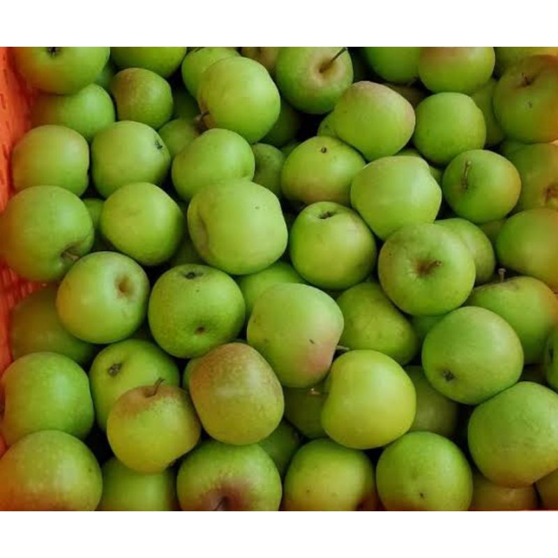 Apel Hijau Malang