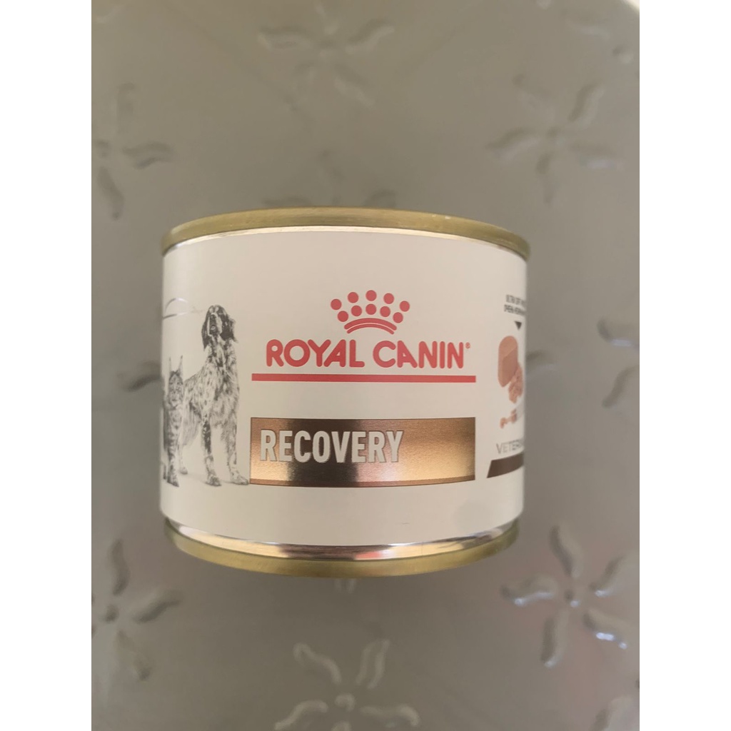 ROYAL CANIN "RECOVERY"