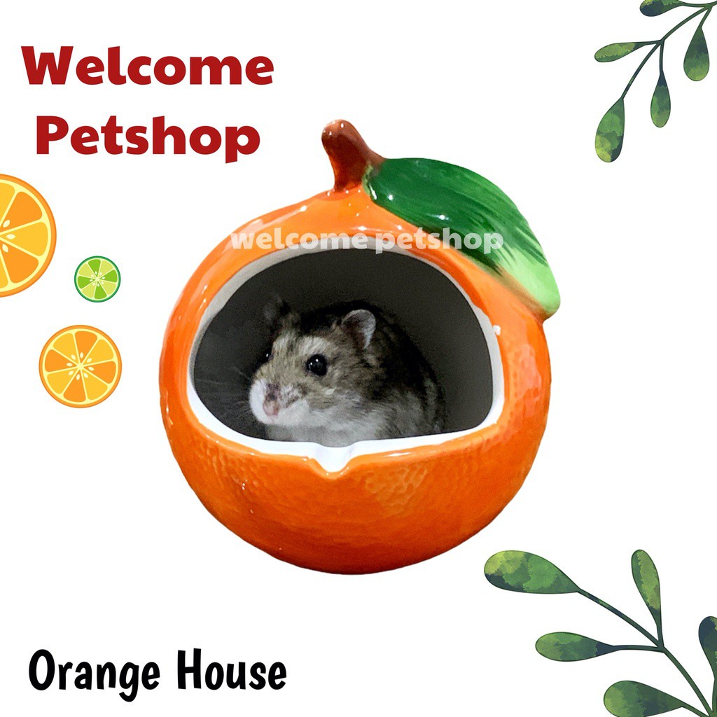 Orange House / Rumah Hamster / Kandang Hamster