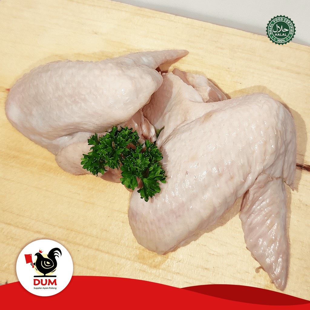 

Sayap Ayam Fresh/ Ayam Negeri/ Ayam Broiler