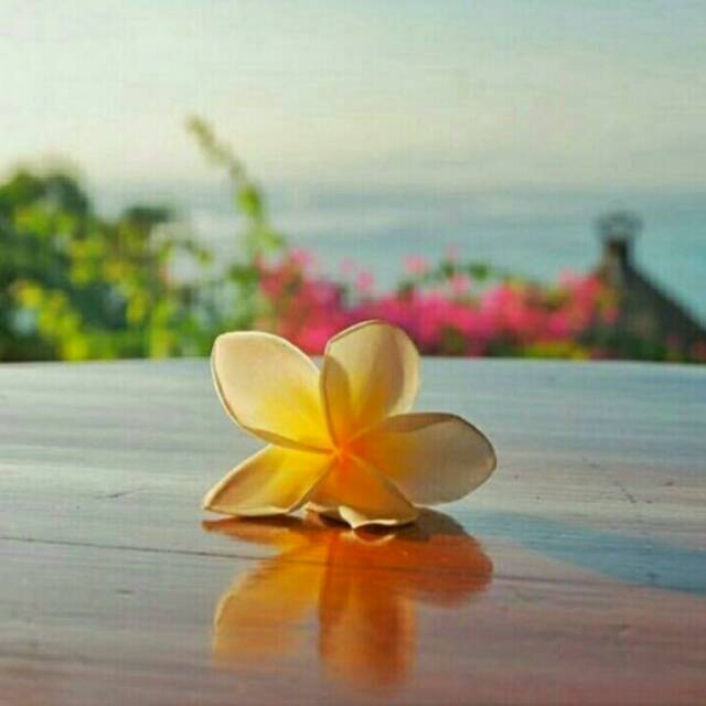 rizkyasari.a