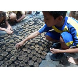 Polybag kecil untuk pembibitan tanaman
