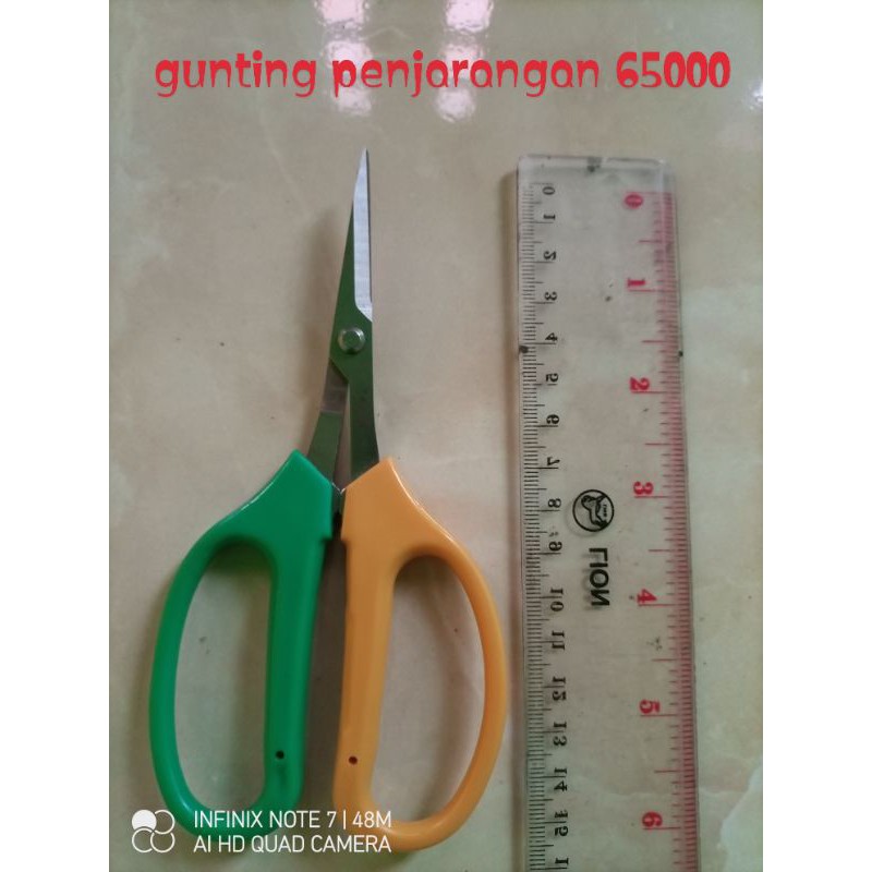 

gunting penjarangan