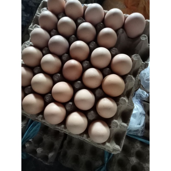 Telur 1kg