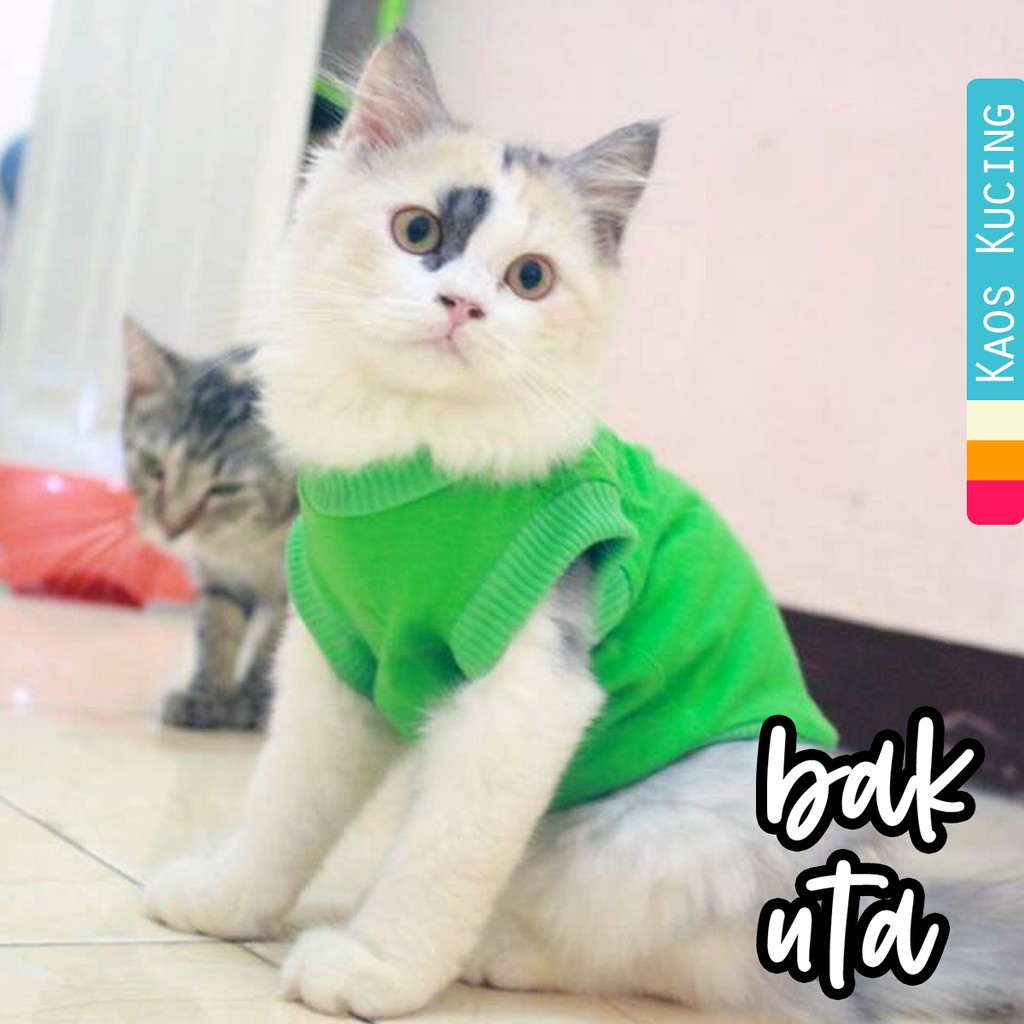 Kaos lucu untuk kucing dan anjing model rip murah / baju kucing murah size S M L XL