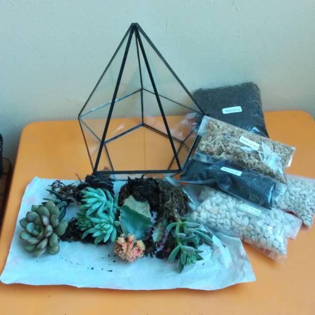 Jual Terrarium kit, terrarium kaktus & sukulen , terrarium, terarium