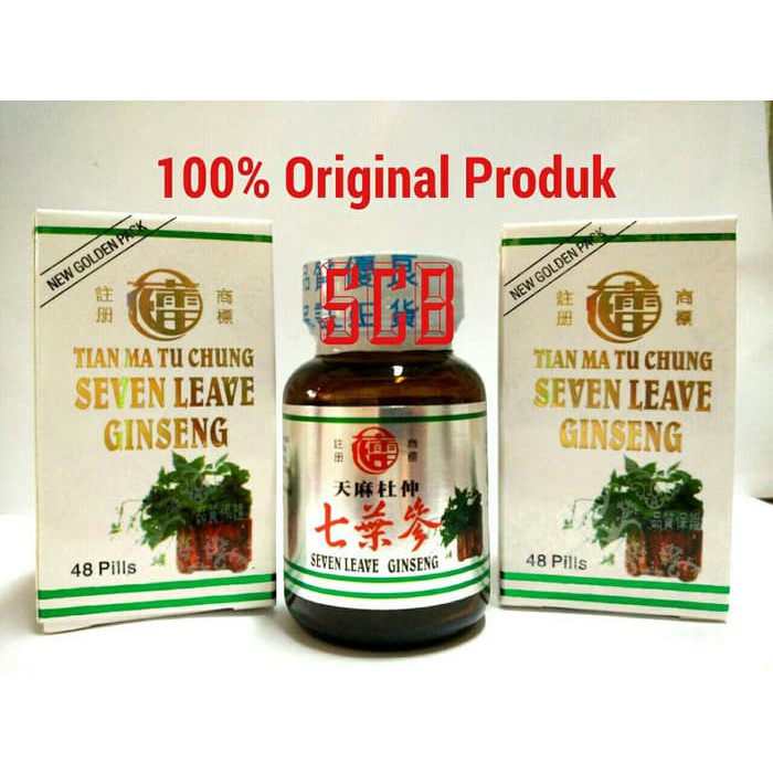 100 % ORIGINAL Seven Leave Ginseng - Obat Rematik , Nyeri sendi, Pegal linu