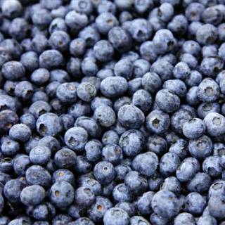 Surabaya frozen mix berries blueberry blackberry cranberry  