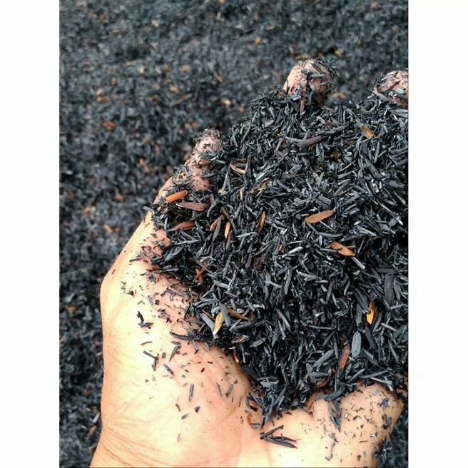 sekam bakar/Arang sekam bakar_kuli padi