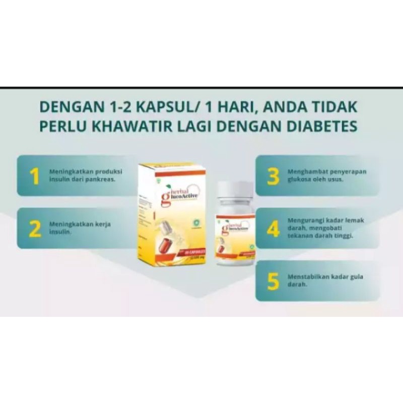 GLUCOACTIVE Obat Diabetes Original