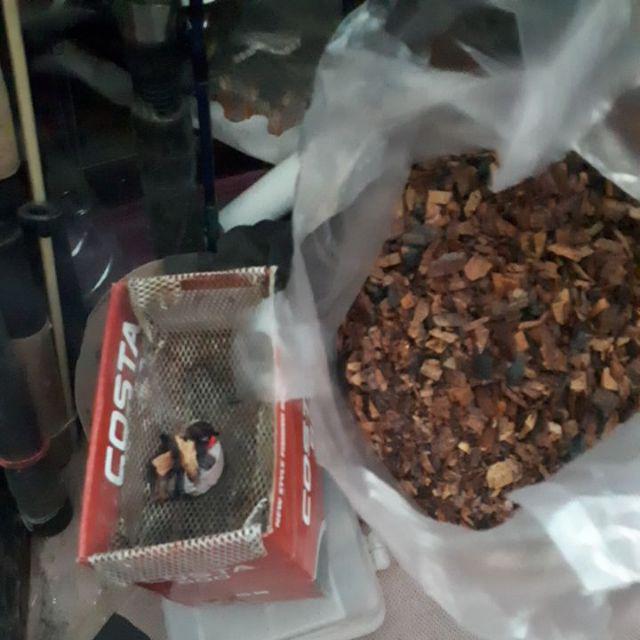 Dupa Tabur Kayu Gaharu Kalimantan Asli