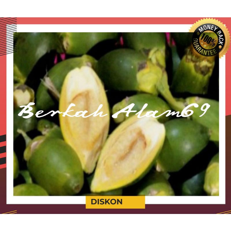

Buah Pinang Muda 500gram
