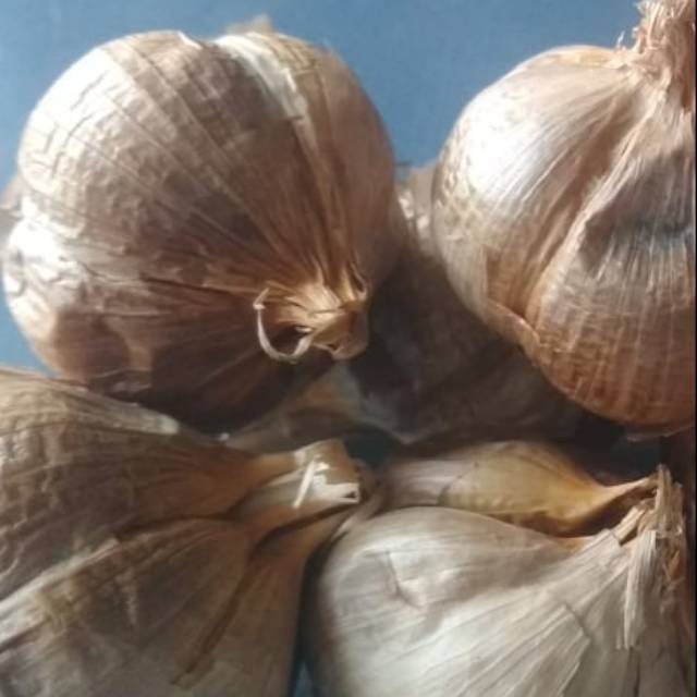 

Bawang Hitam Murah Berkhasiat Halal