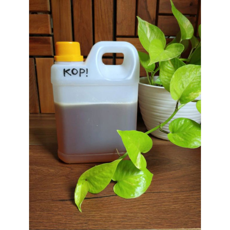 

Madu nektar KOPI (raw honey) 1000 gr