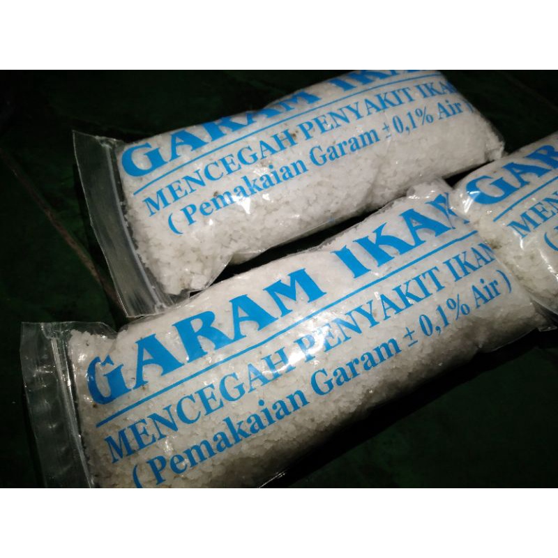 garam ikan