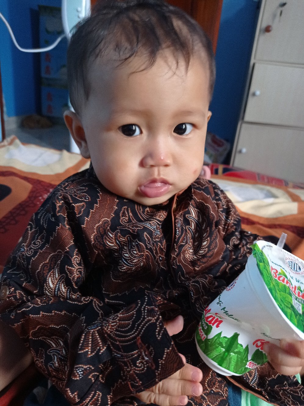 Kemeja Batik Anak Lengan Panjang By Little Malik Batik