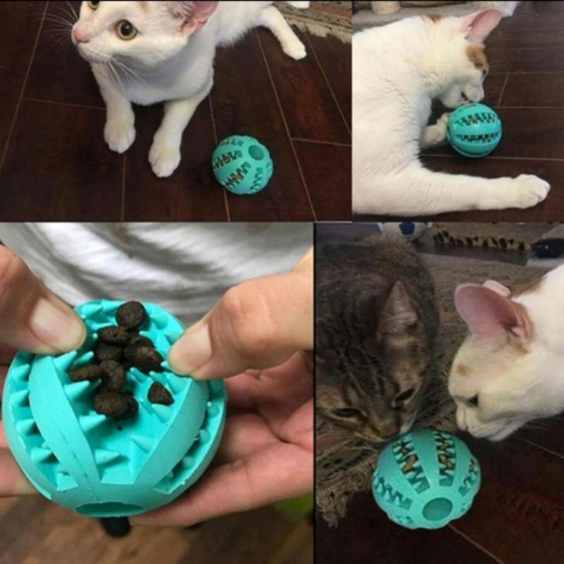 Bola rubber isi dry food mainan karet gigit gigitan anjing kucing toy pembersih gigi toys solid